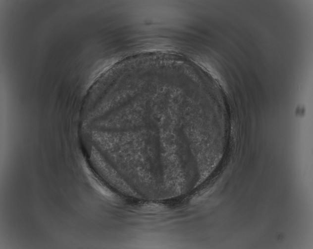 X0000092220397200710051203