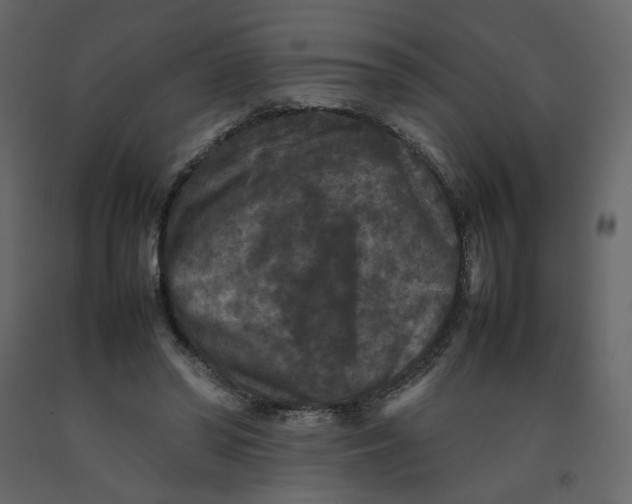 X0000092220398200710051203