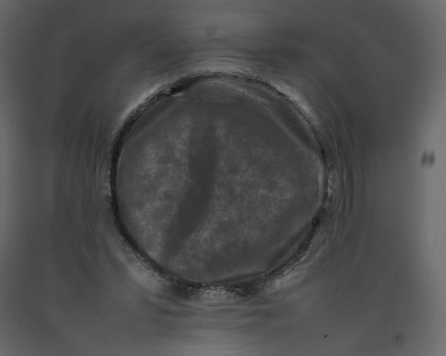 X0000092220399200710051203