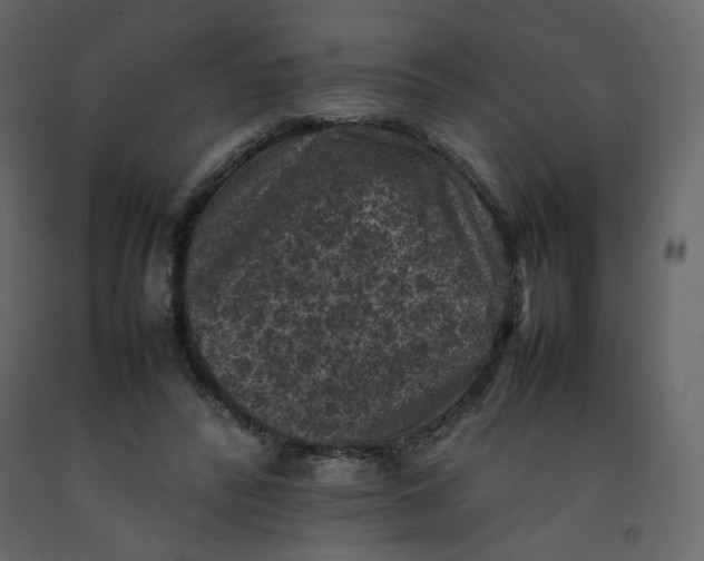 X0000092220400200710051203