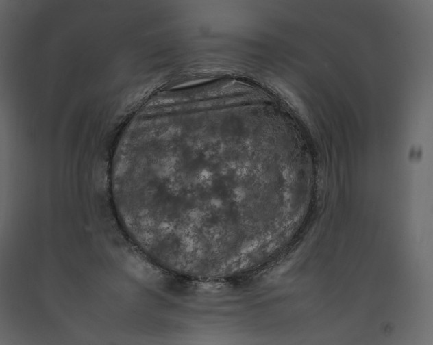 X0000092220401200710051202