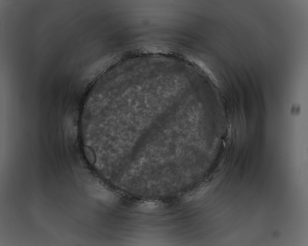 X0000092220402200710051202