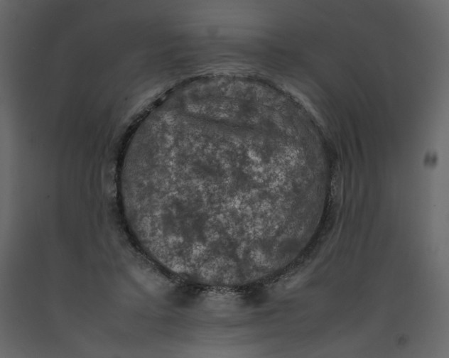 X0000092220403200710051202