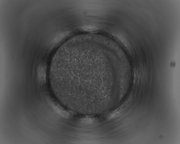 X0000092220404200710051202