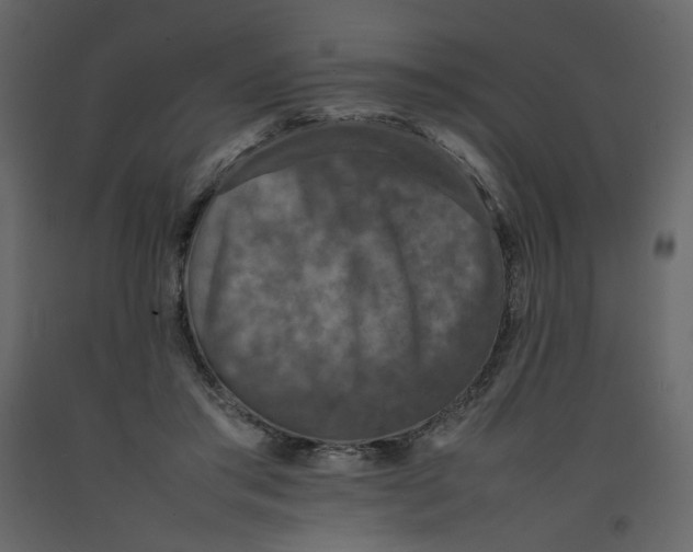 X0000092220405200710051202