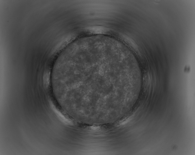 X0000092220406200710051202