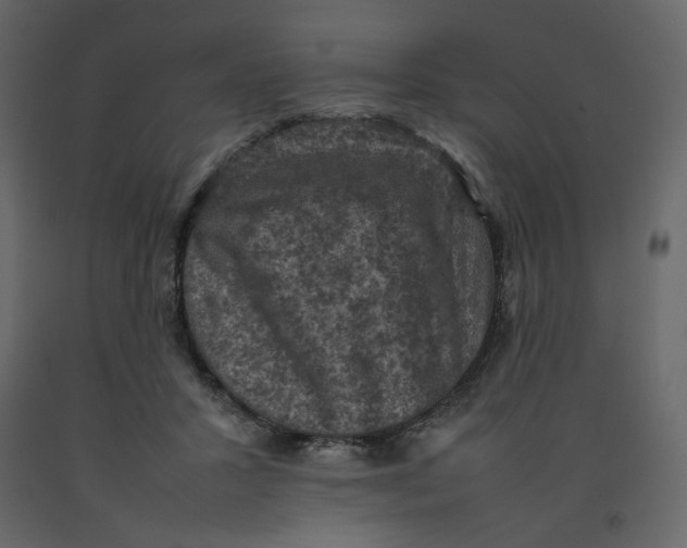 X0000092220407200710051202