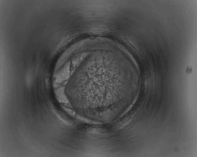 X0000092220408200710051202