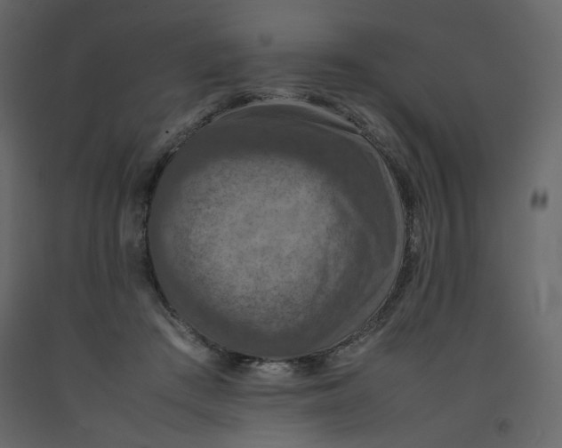 X0000092220409200710051202