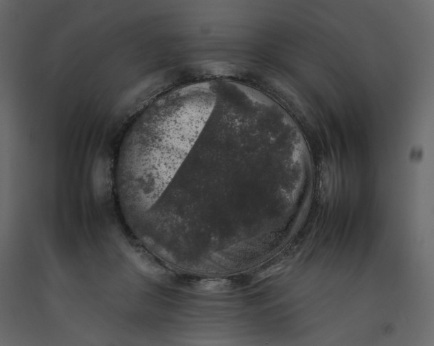 X0000092220410200710051202