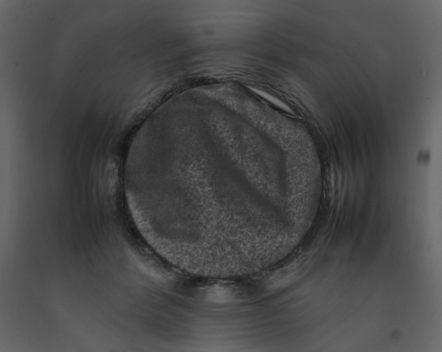X0000092220412200710051202