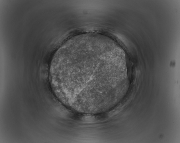X0000092220413200710051202