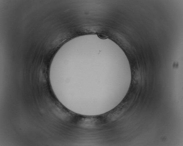 X0000092220414200710051202