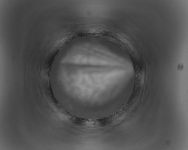X0000092220415200710051202