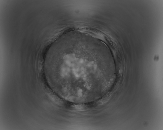 X0000092220417200710051202