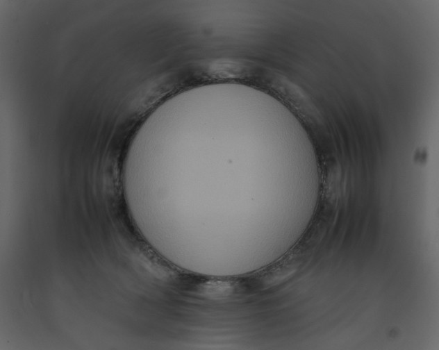 X0000092220418200710051202