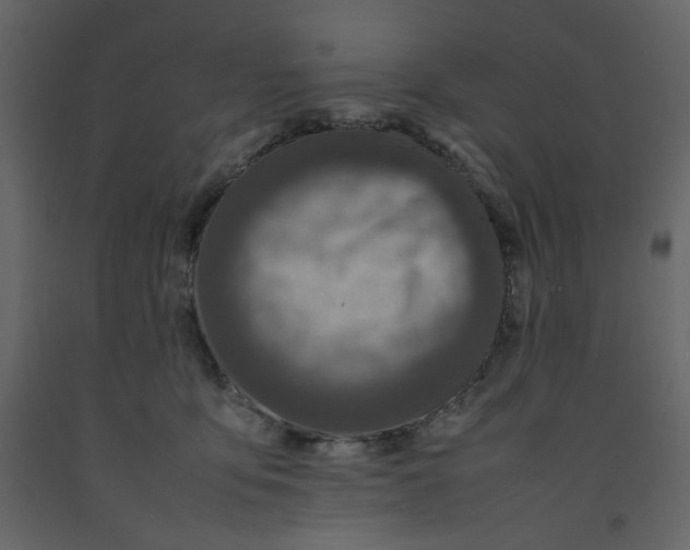 X0000092220419200710051202