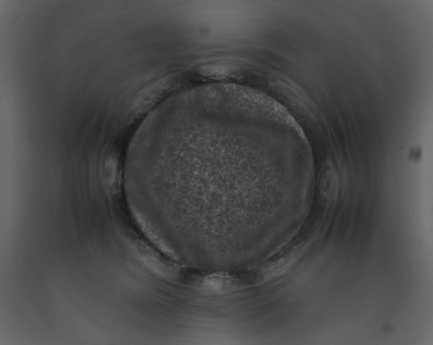 X0000092220420200710051202