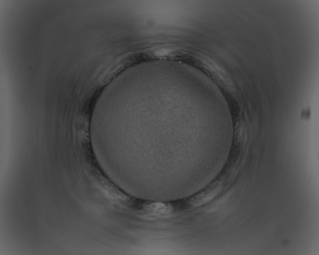 X0000092220421200710051202