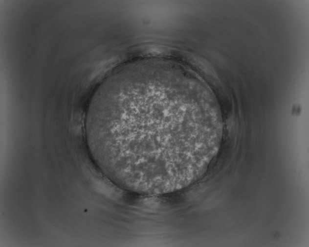 X0000092220423200710051202