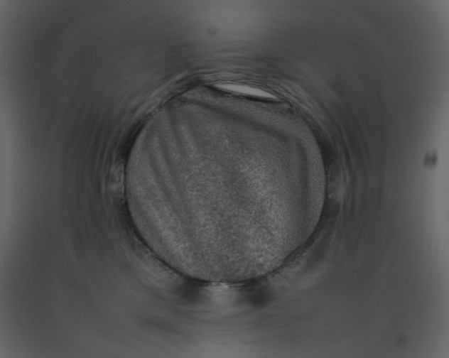 X0000092220425200710051202
