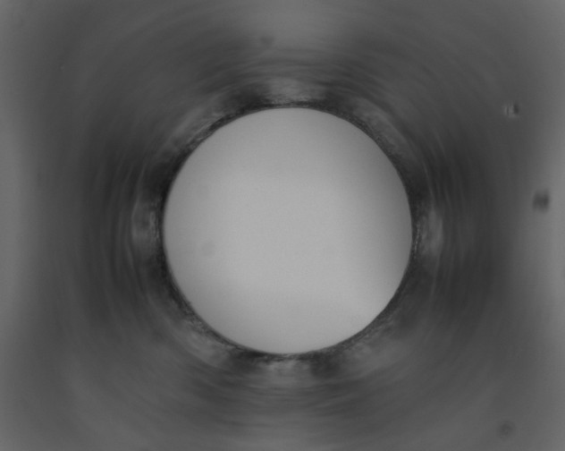 X0000092220426200710051202