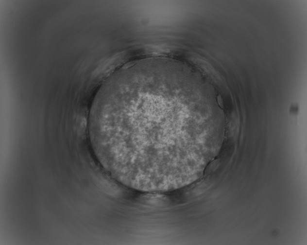 X0000092220427200710051202