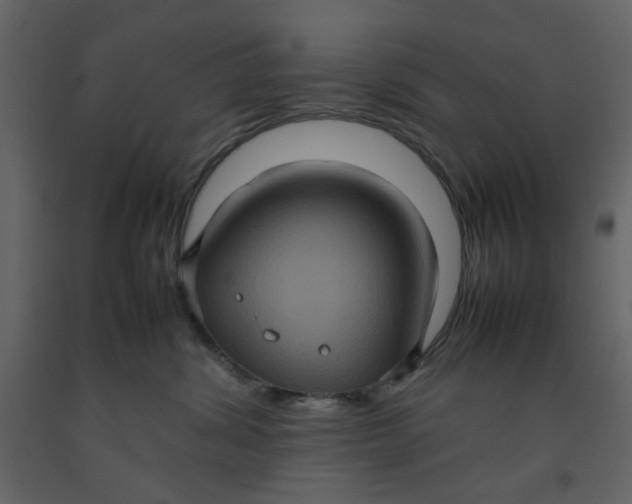 X0000092220428200710051202