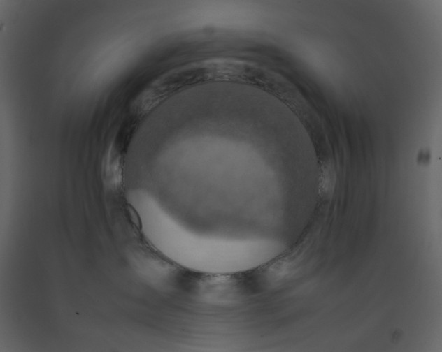 X0000092220431200710051202