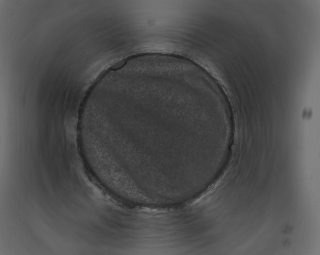 X0000092220434200710051202