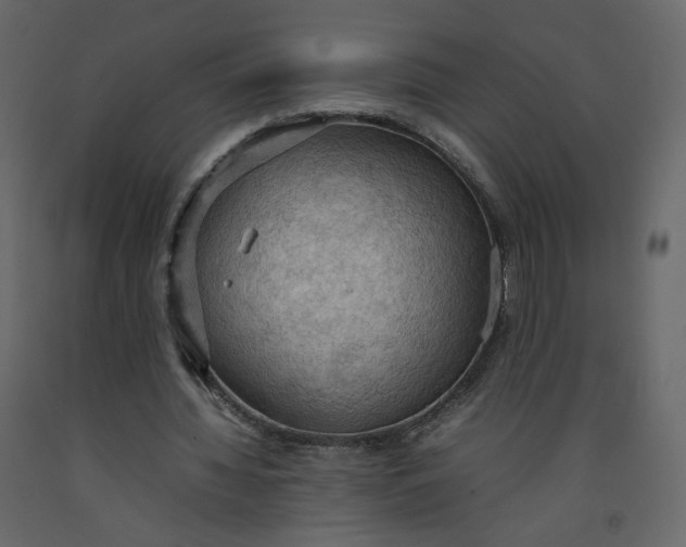 X0000092220436200710051202