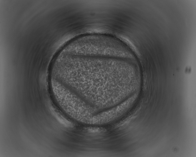 X0000092220439200710051202