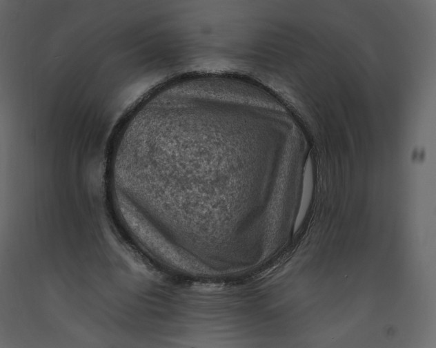 X0000092220440200710051202