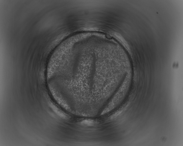X0000092220441200710051202