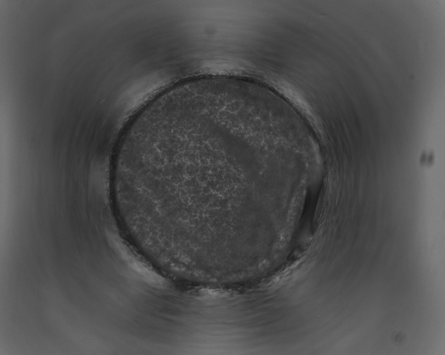 X0000092220442200710051202