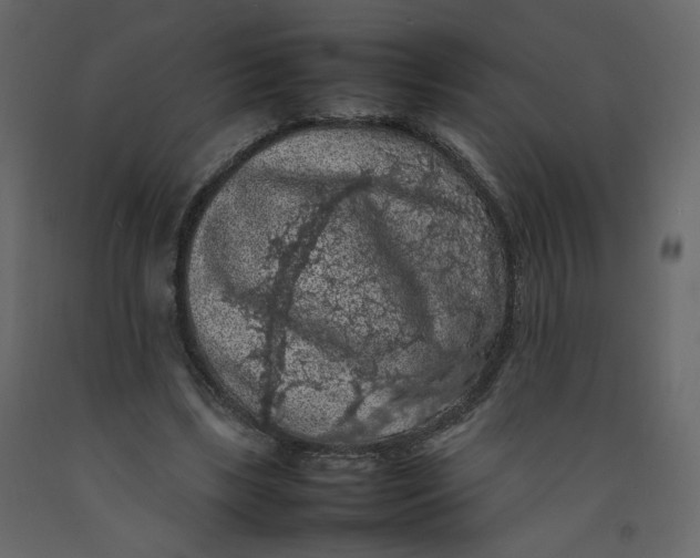 X0000092220443200710051202