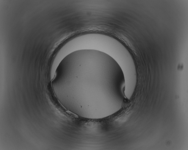 X0000092220444200710051202