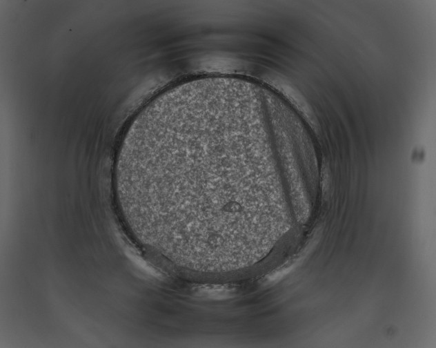 X0000092220445200710051202