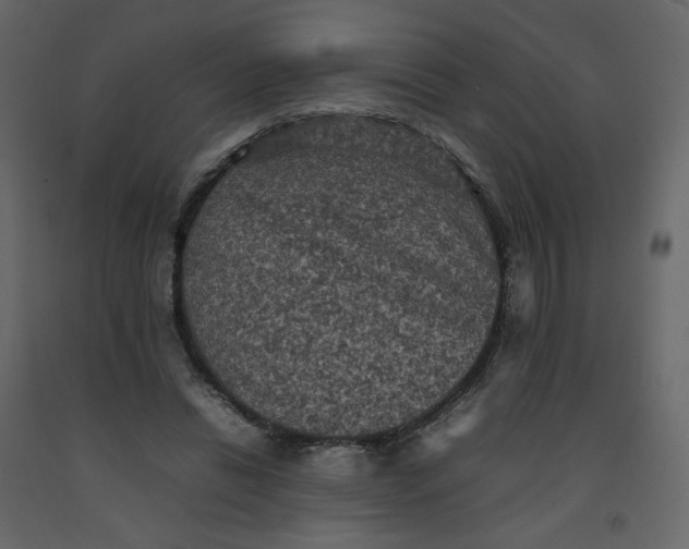 X0000092220446200710051202