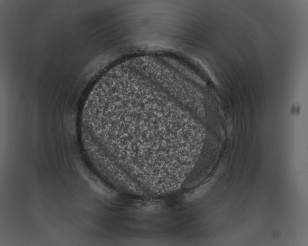X0000092220447200710051202