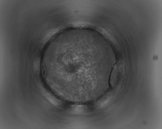 X0000092220448200710051202