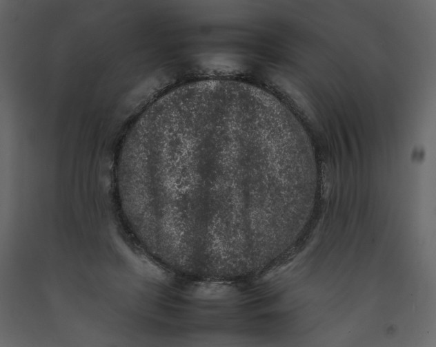X0000092220451200710051202