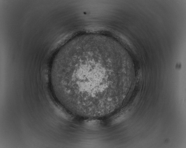 X0000092220452200710051202