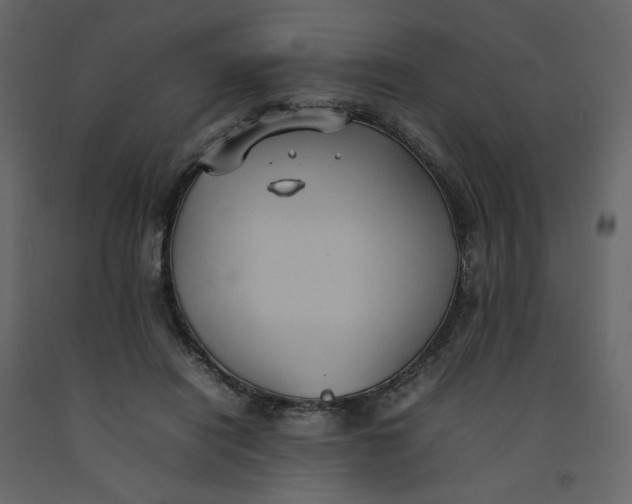 X0000092220454200710051202