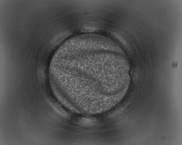 X0000092220455200710051202