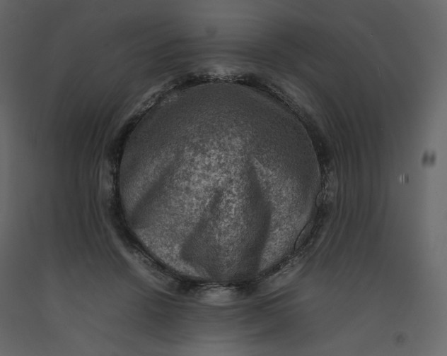 X0000092220456200710051202