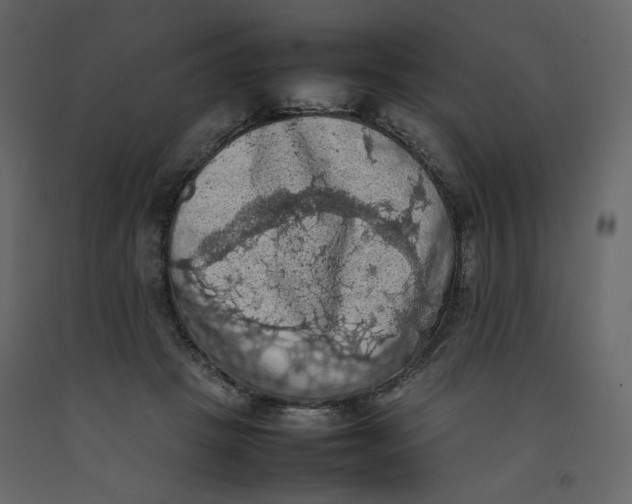X0000092220457200710051202