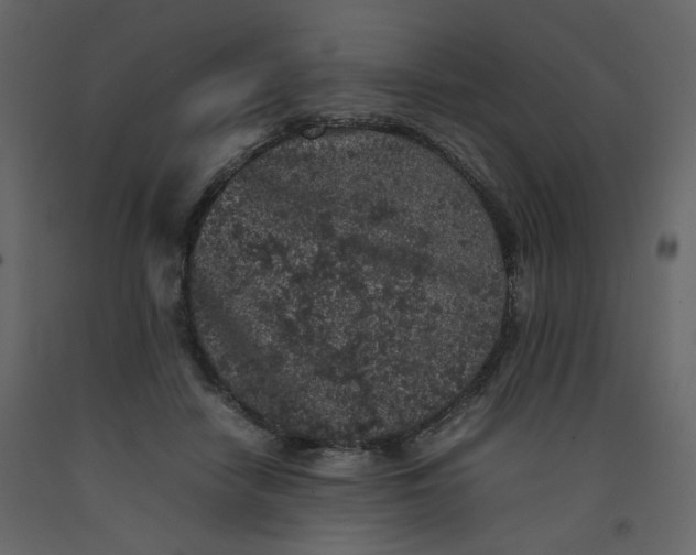 X0000092220458200710051202