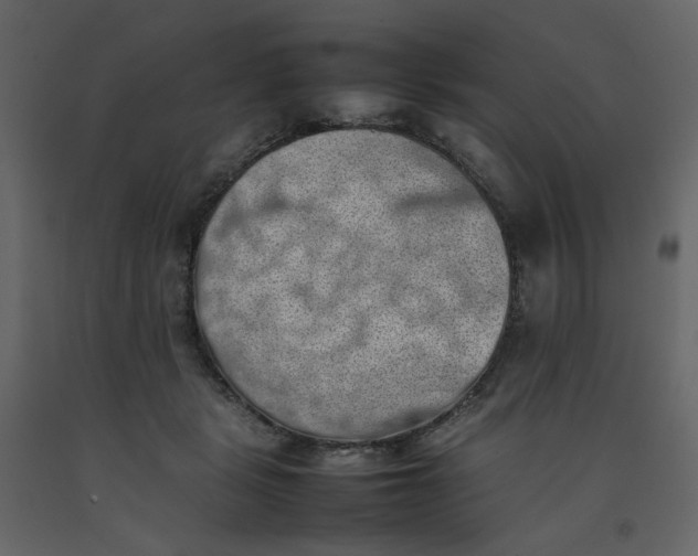 X0000092220461200710051202