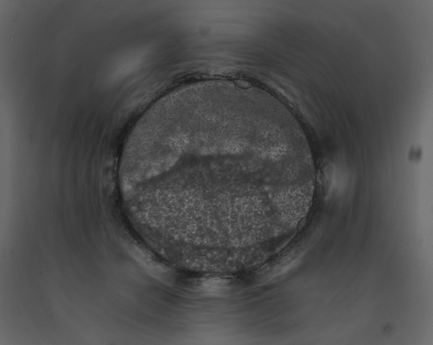 X0000092220462200710051202